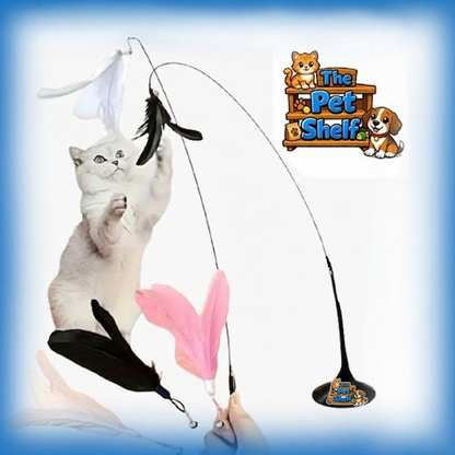 PurrPlay Feather & Bell Set™